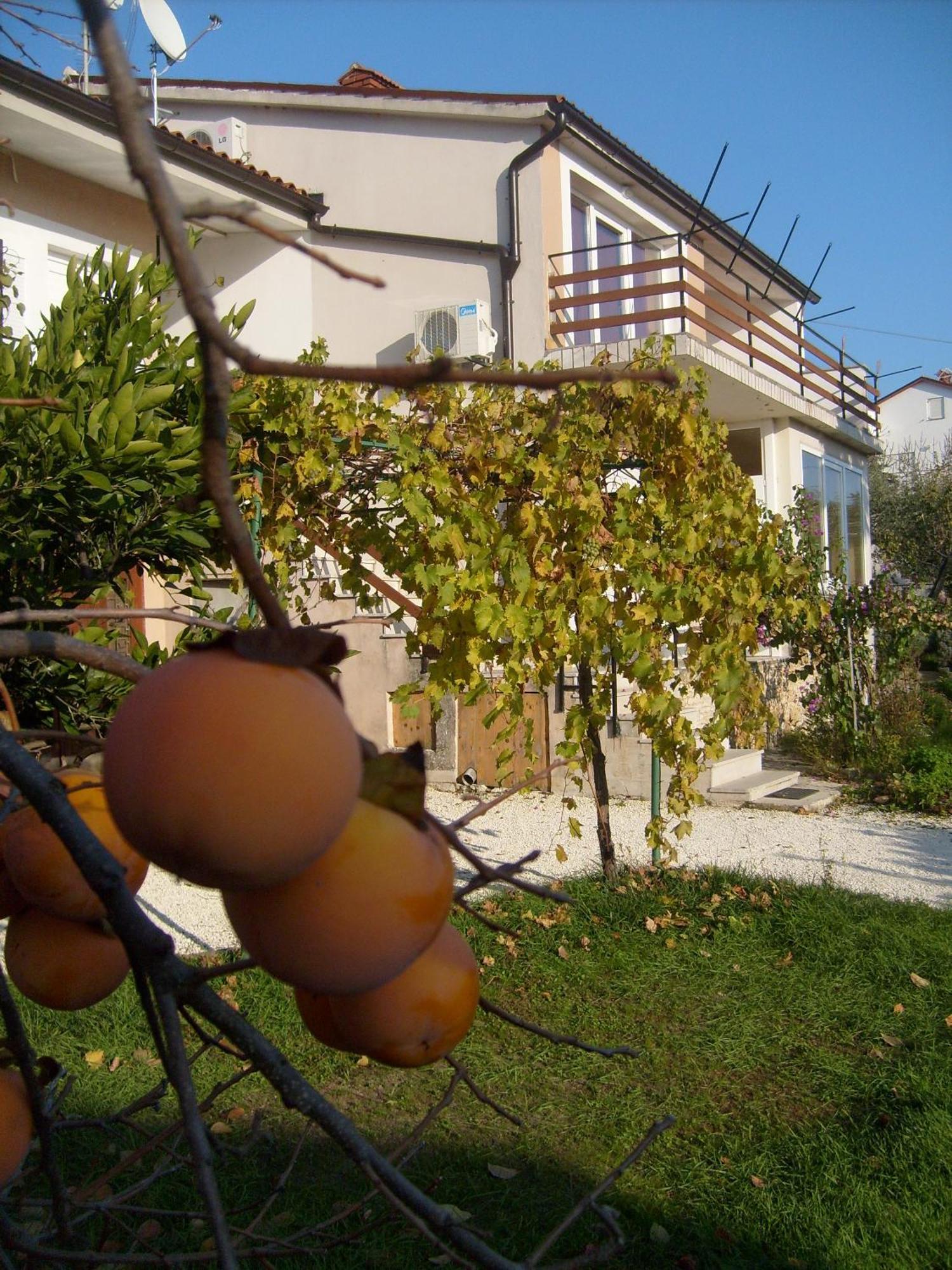 Apartments Bernic Medulin Exterior foto